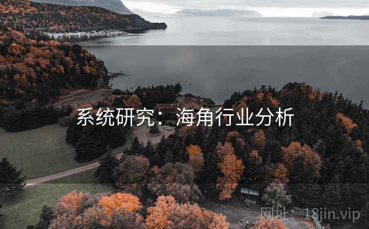 系统研究:海角行业分析 系统研究:海角行业分析