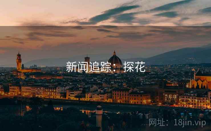新闻追踪:探花 新闻追踪:探花