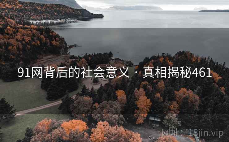 91网背后的社会意义 · 真相揭秘461 91网背后的社会意义 · 真相揭秘461