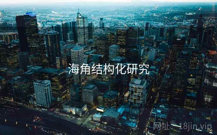 海角结构化研究 海角结构化研究