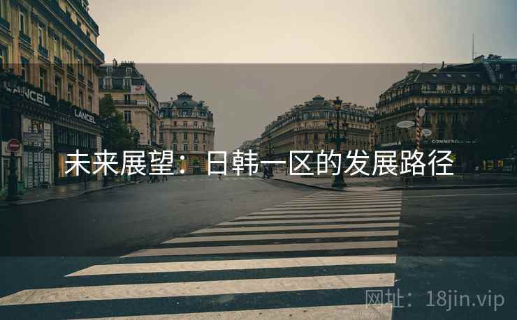 未来展望:日韩一区的发展路径 未来展望:日韩一区的发展路径