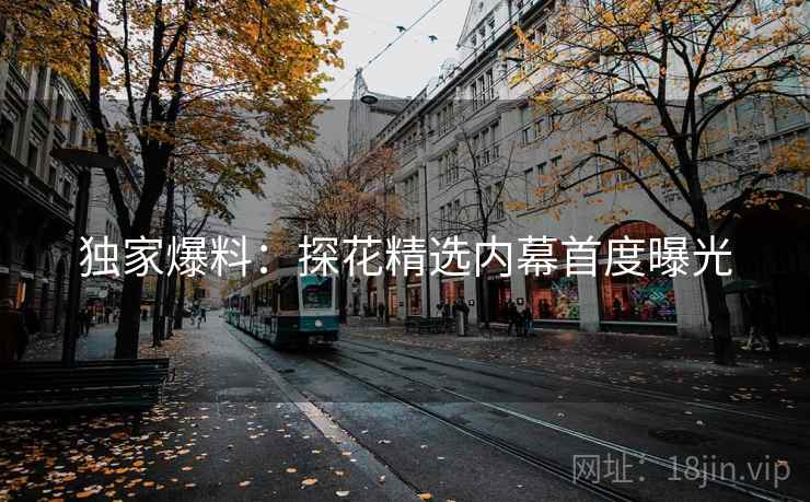 独家爆料:探花精选内幕首度曝光 独家爆料:探花精选内幕首度曝光