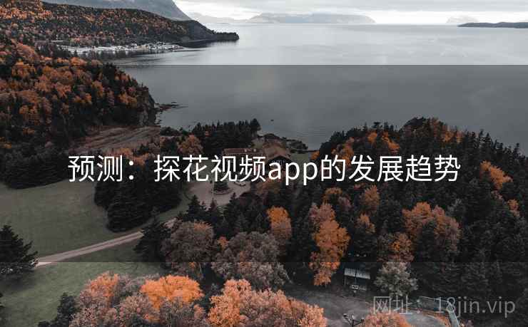 预测：探花视频app的发展趋势