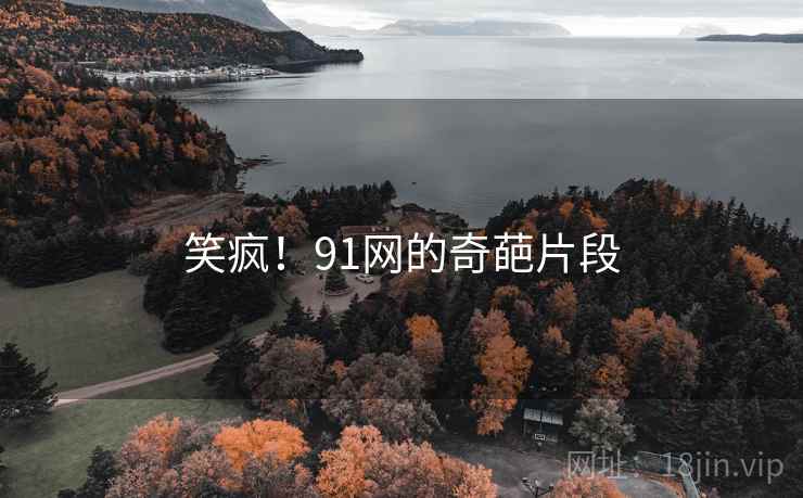 笑疯!91网的奇葩片段 笑疯!91网的奇葩片段