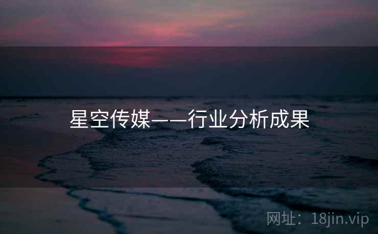 星空传媒——行业分析成果 星空传媒——行业分析成果