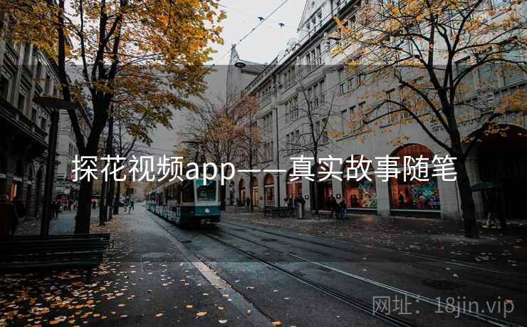 探花视频app——真实故事随笔 探花视频app——真实故事随笔
