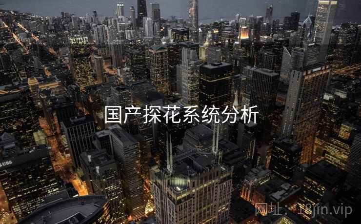 国产探花系统分析 国产探花系统分析