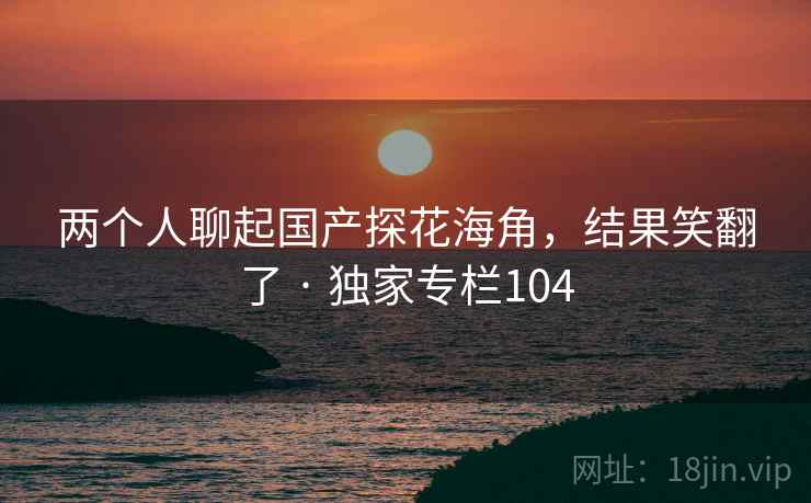 两个人聊起国产探花海角,结果笑翻了 · 独家专栏104 两个人聊起国产探花海角,结果笑翻了 · 独家专栏104