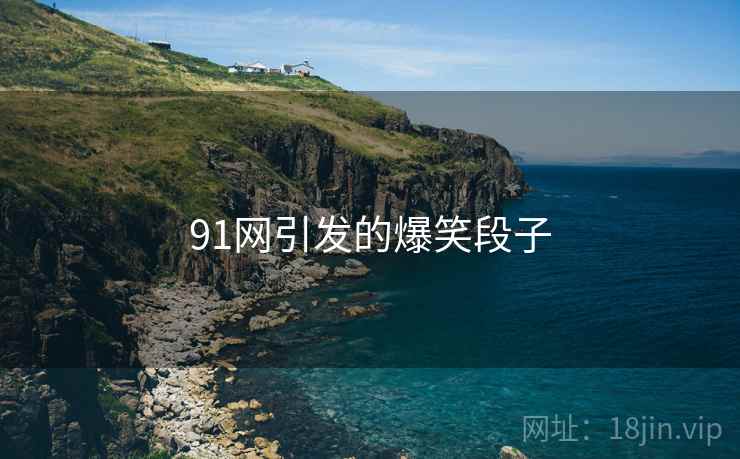 91网引发的爆笑段子 91网引发的爆笑段子