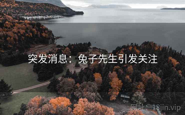 突发消息:兔子先生引发关注