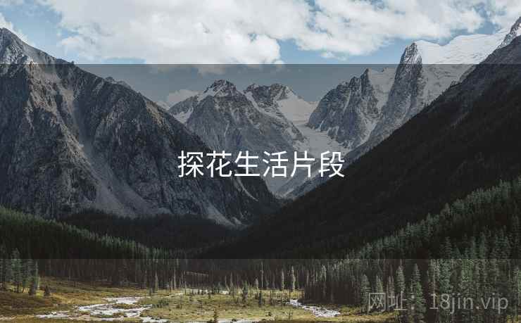 探花生活片段 探花生活片段