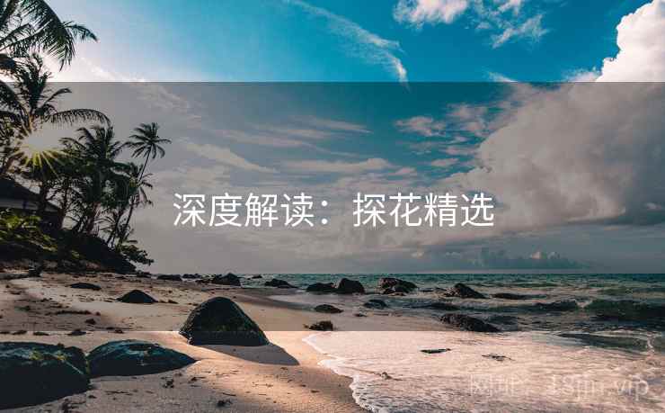 深度解读:探花精选