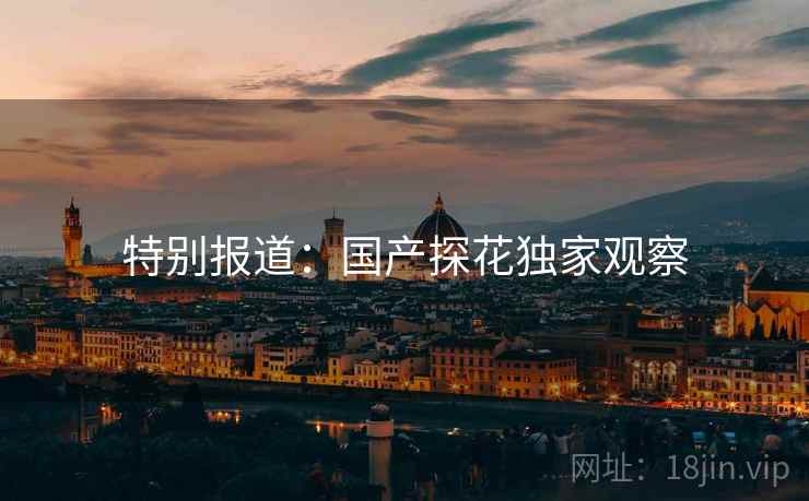 特别报道:国产探花独家观察