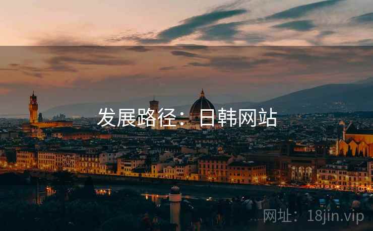发展路径:日韩网站